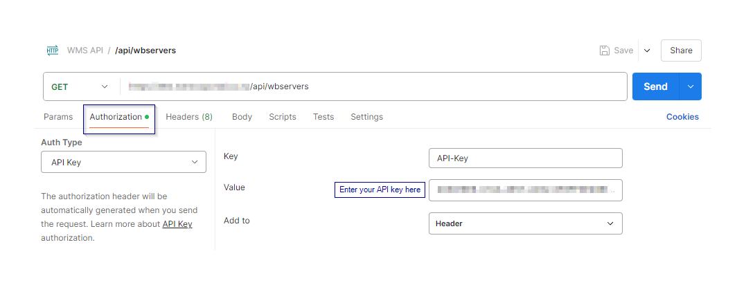 API Key